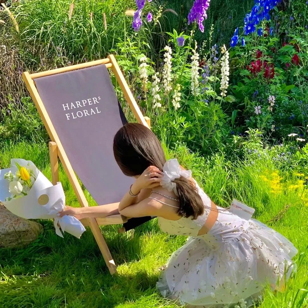 猫和老鼠2014第一季